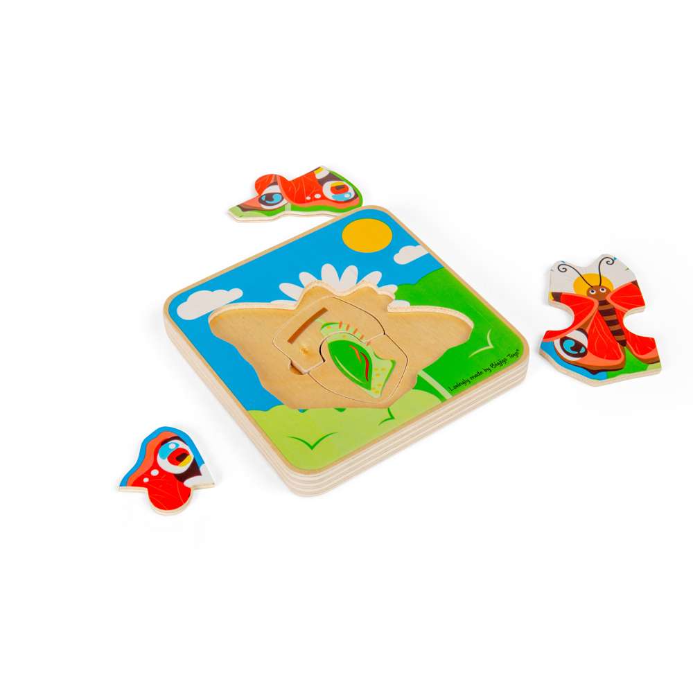 Lifecycle Layer Puzzle - Butterfly