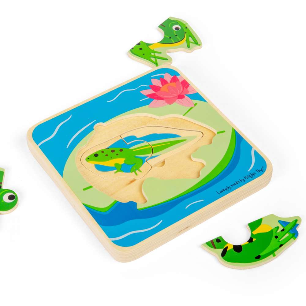 Lifecycle Layer Puzzle - Frog
