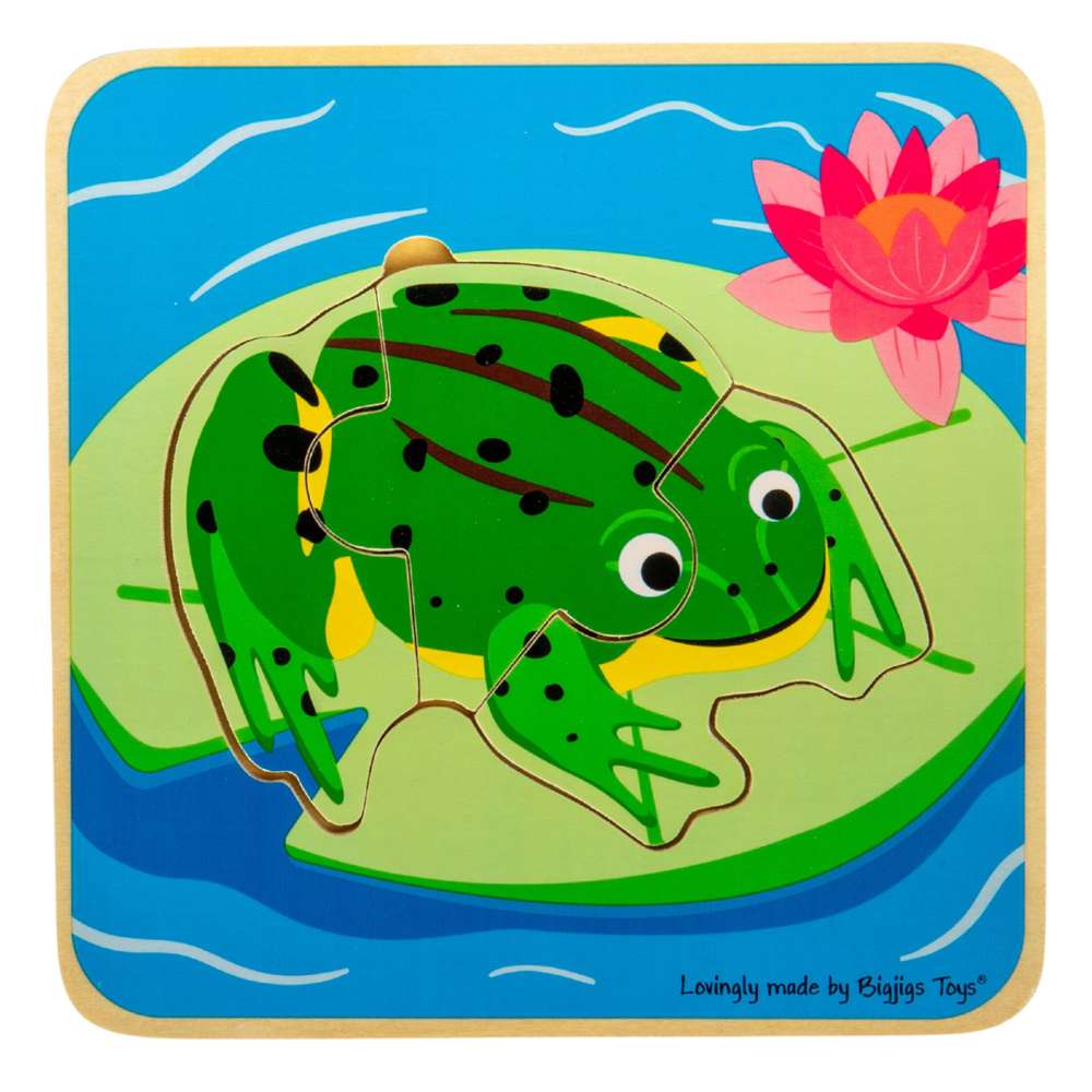 Lifecycle Layer Puzzle - Frog