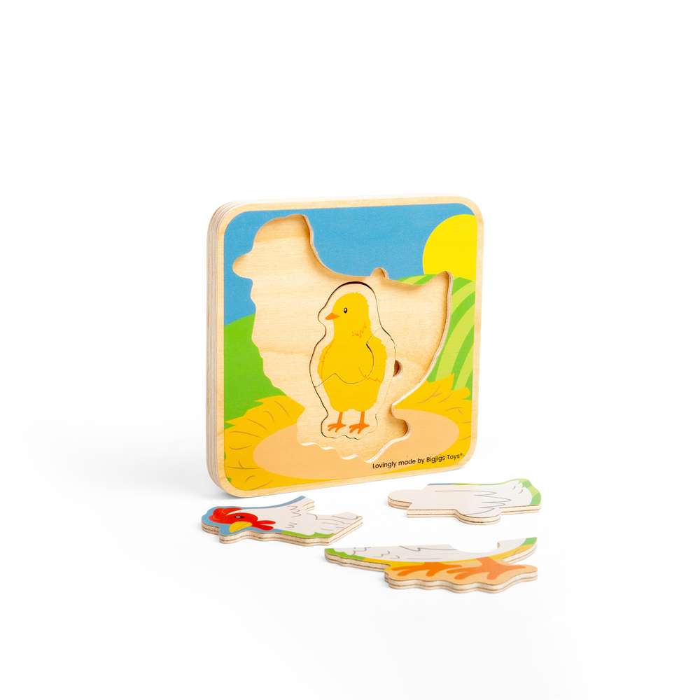 Lifecycle Puzzle - Chicken