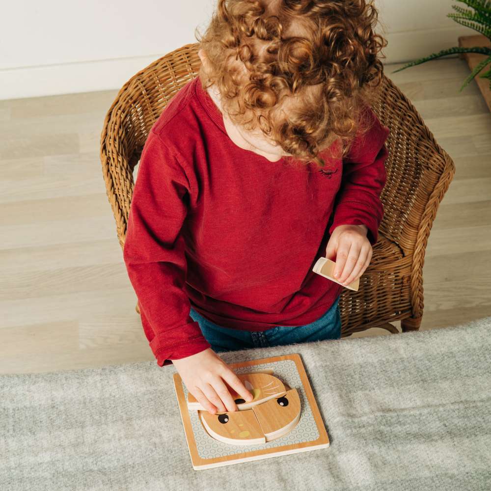 Seal Chunky Puzzle