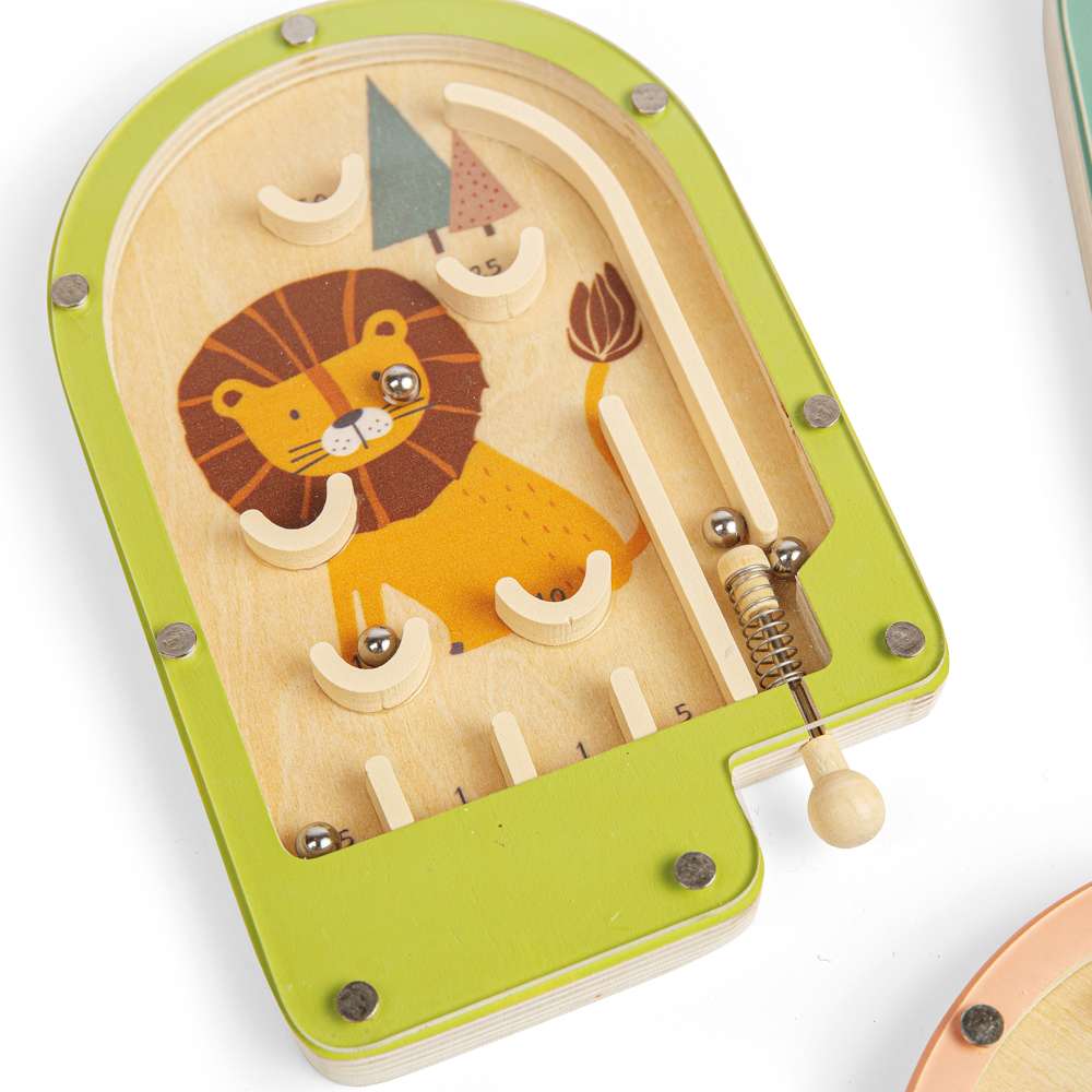 Pinball Game (12)