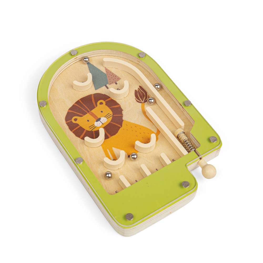 Pinball Game (12)