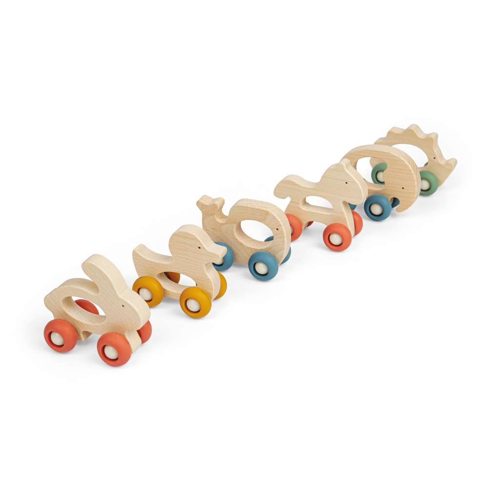 Mini Animal Push Alongs (6)