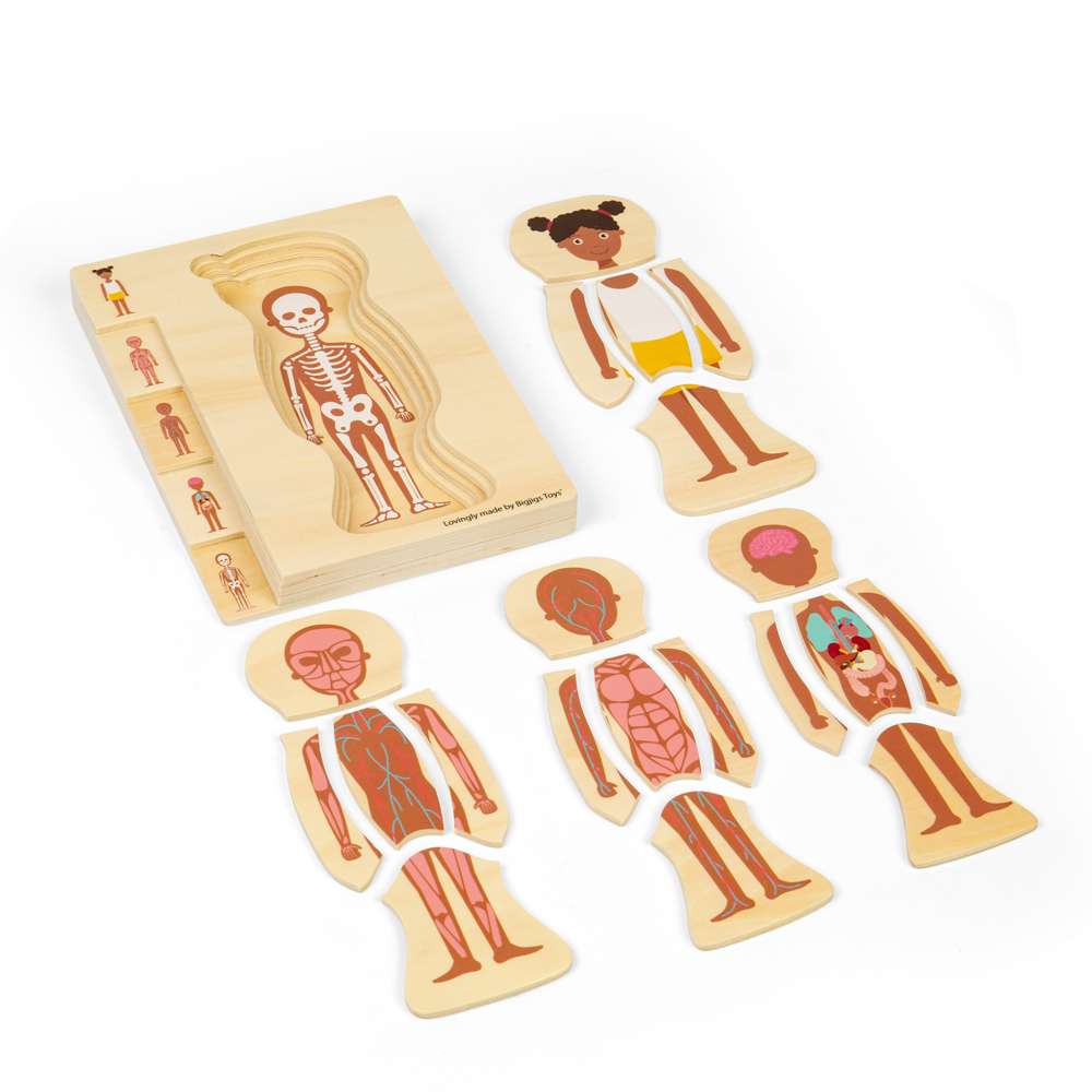 Anatomy Puzzle - Girl