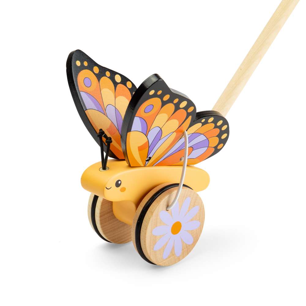 Butterfly Push Along (4)