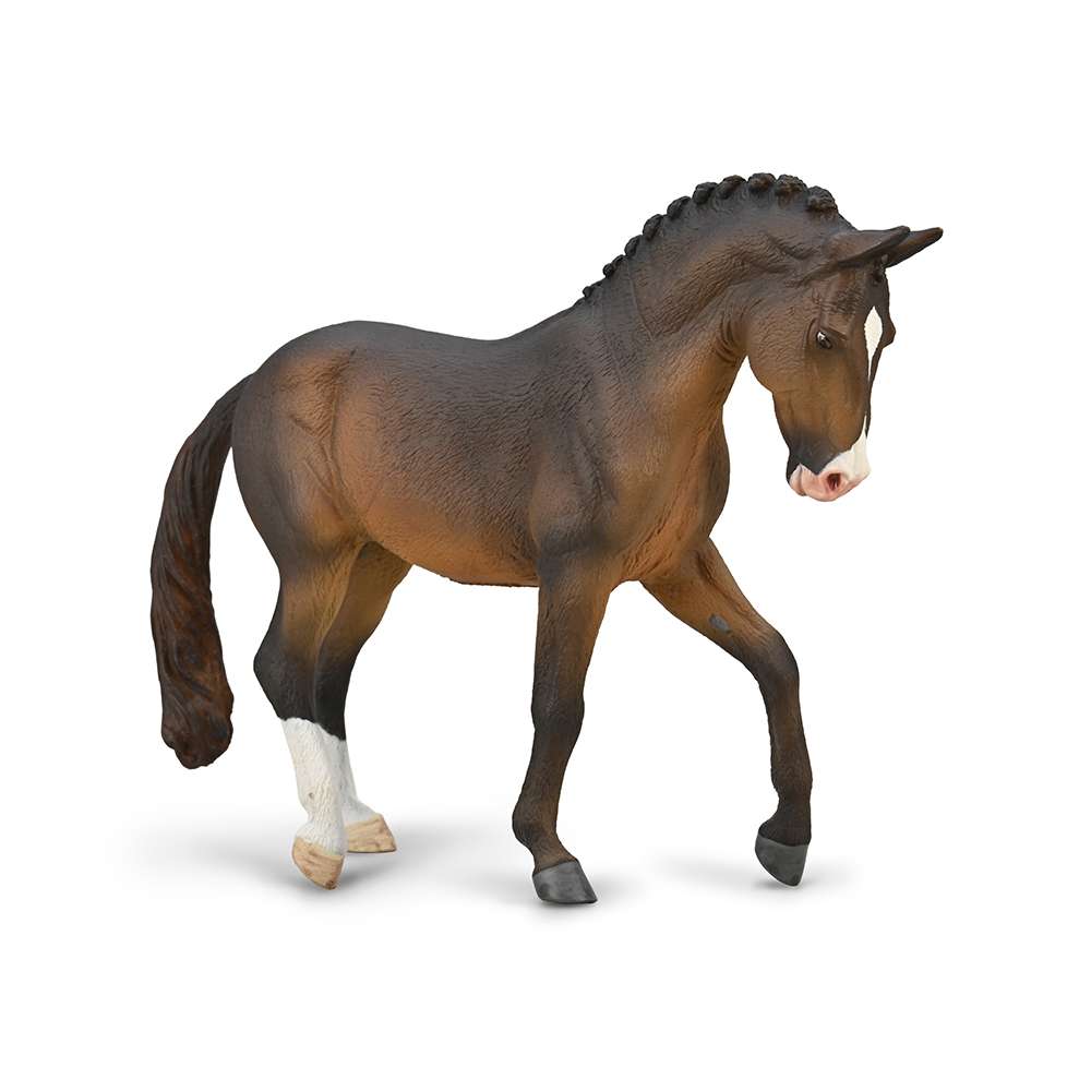 Trakehner Stallion Seal Bay