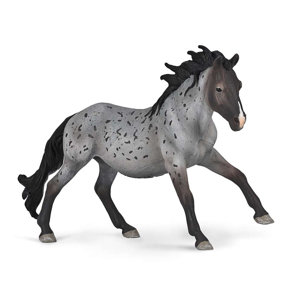 Nokota Stallion Blue Roan