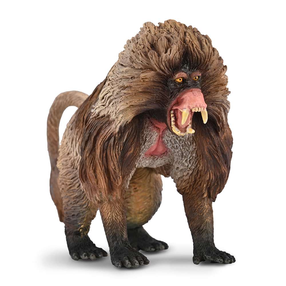Gelada