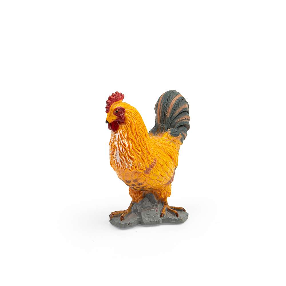 Cockerel