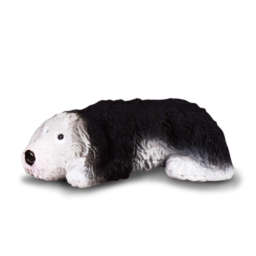 Old English Sheepdog Puppy
