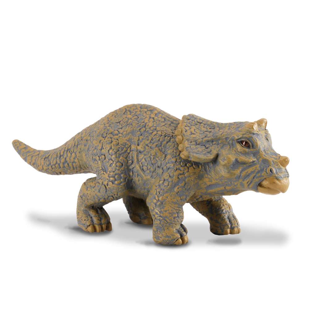 Triceratops Baby