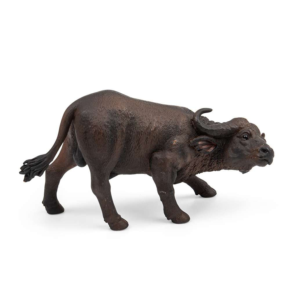 African Buffalo