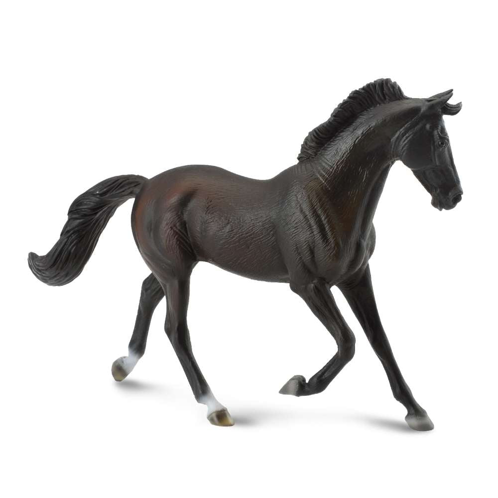 Thoroughbred Mare Black