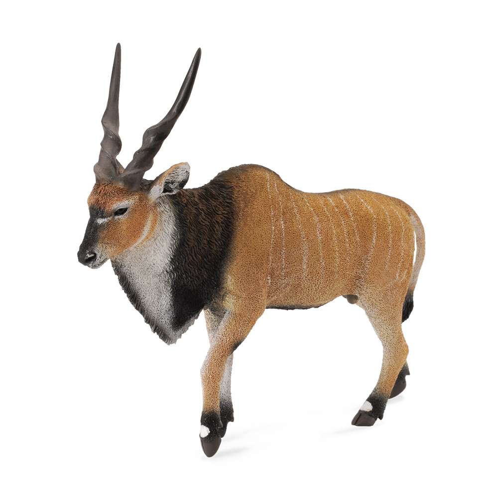 Giant Eland Antelope