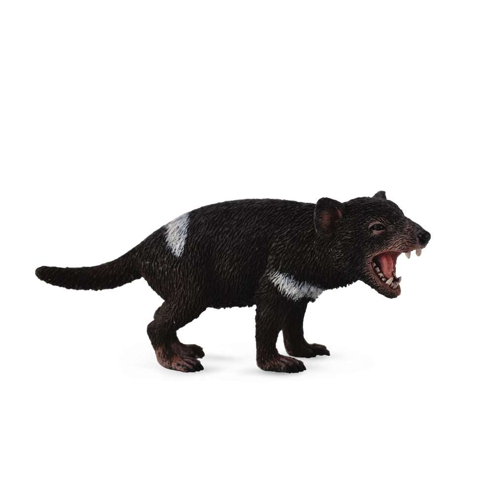 Tasmanian Devil