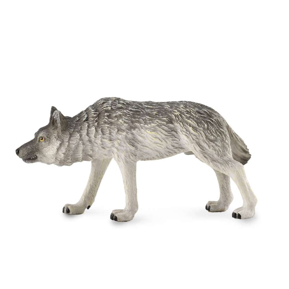 Timber Wolf Hunting
