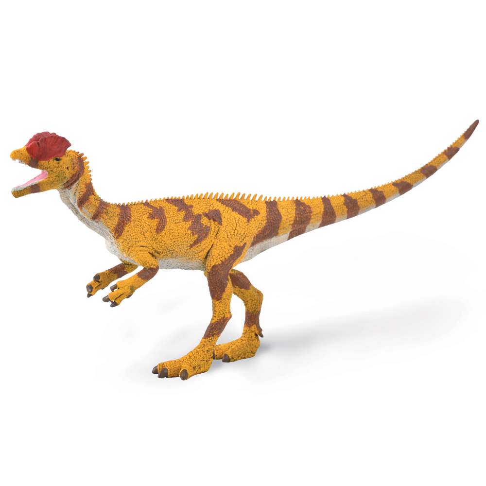 Dilophosaurus - 1:40 Scale