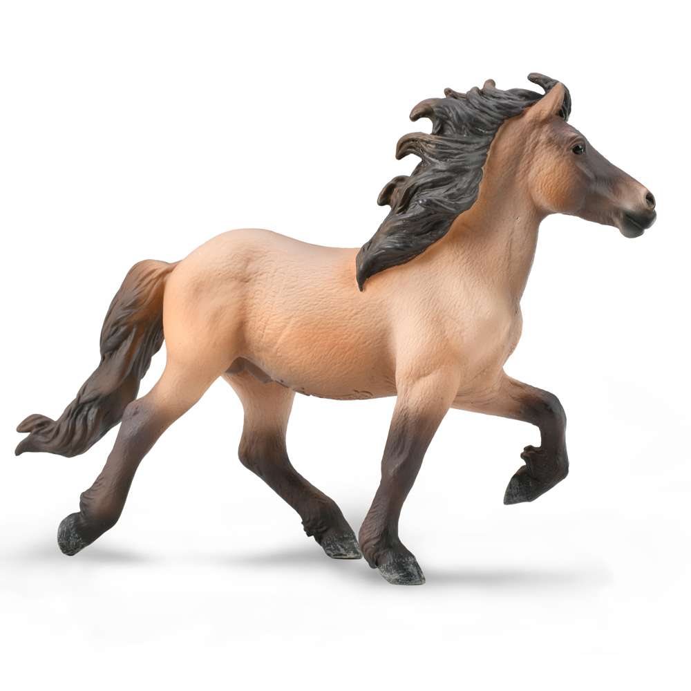 icelandic Stallion - Bay Dun