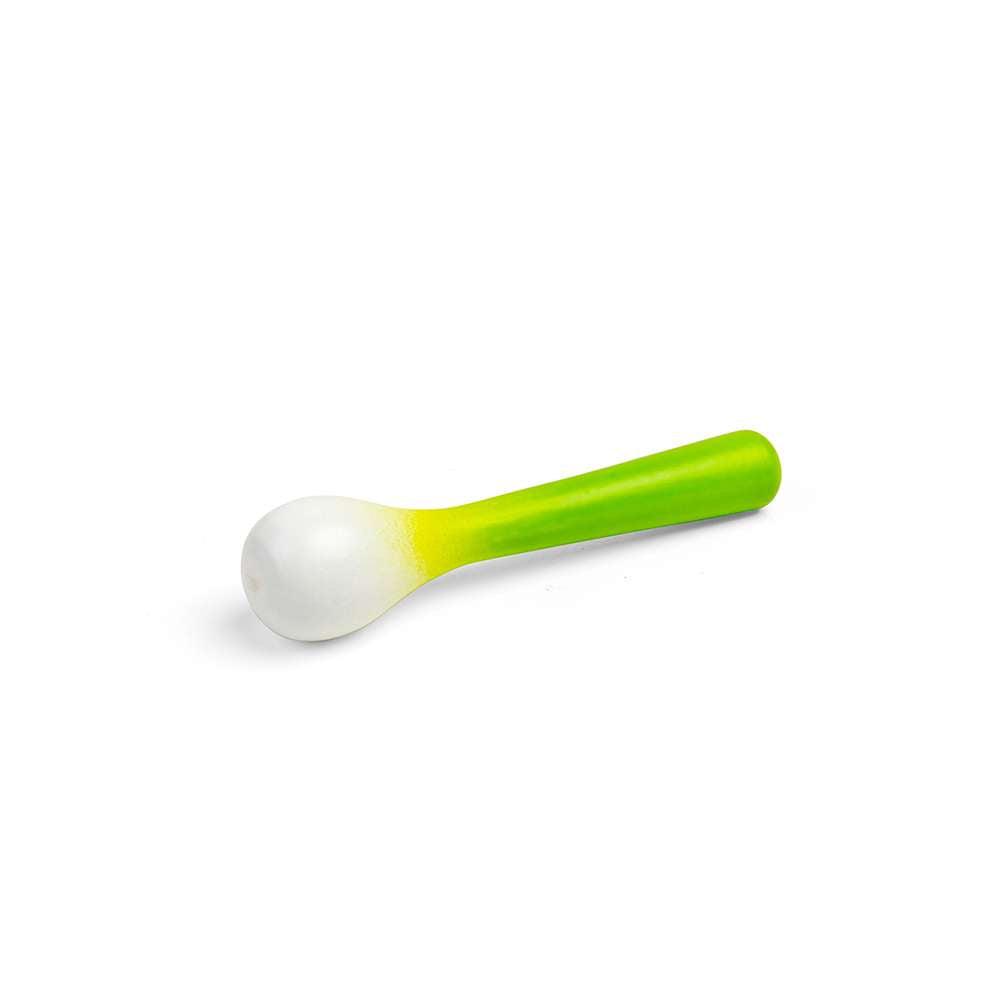 Spring Onion (10)