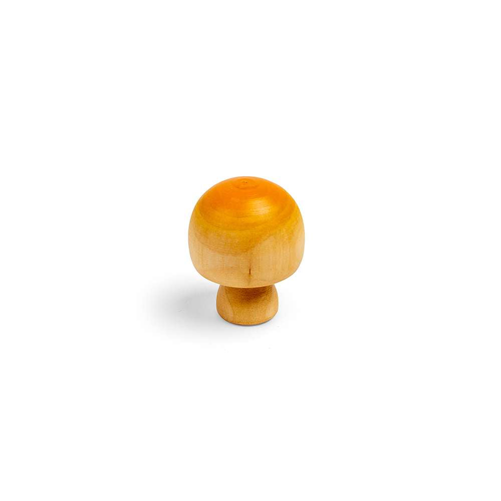 Mushroom (10)