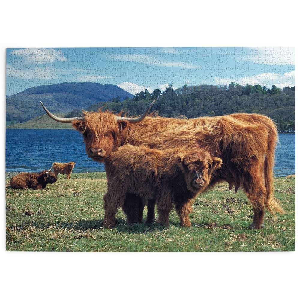 Highlanders - 1000 Piece Jigsaw Puzzle