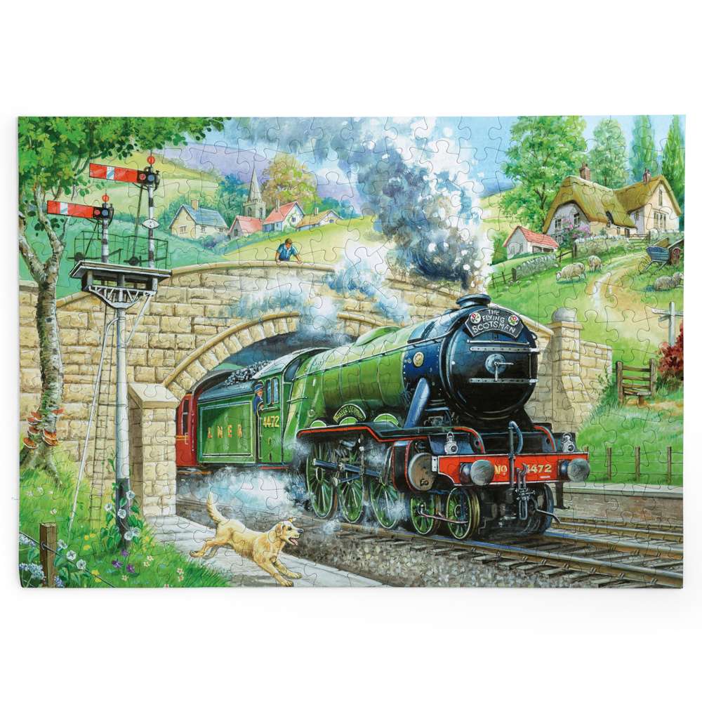 Train Spotting - BIG 250 Piece Jigsaw Puzzle