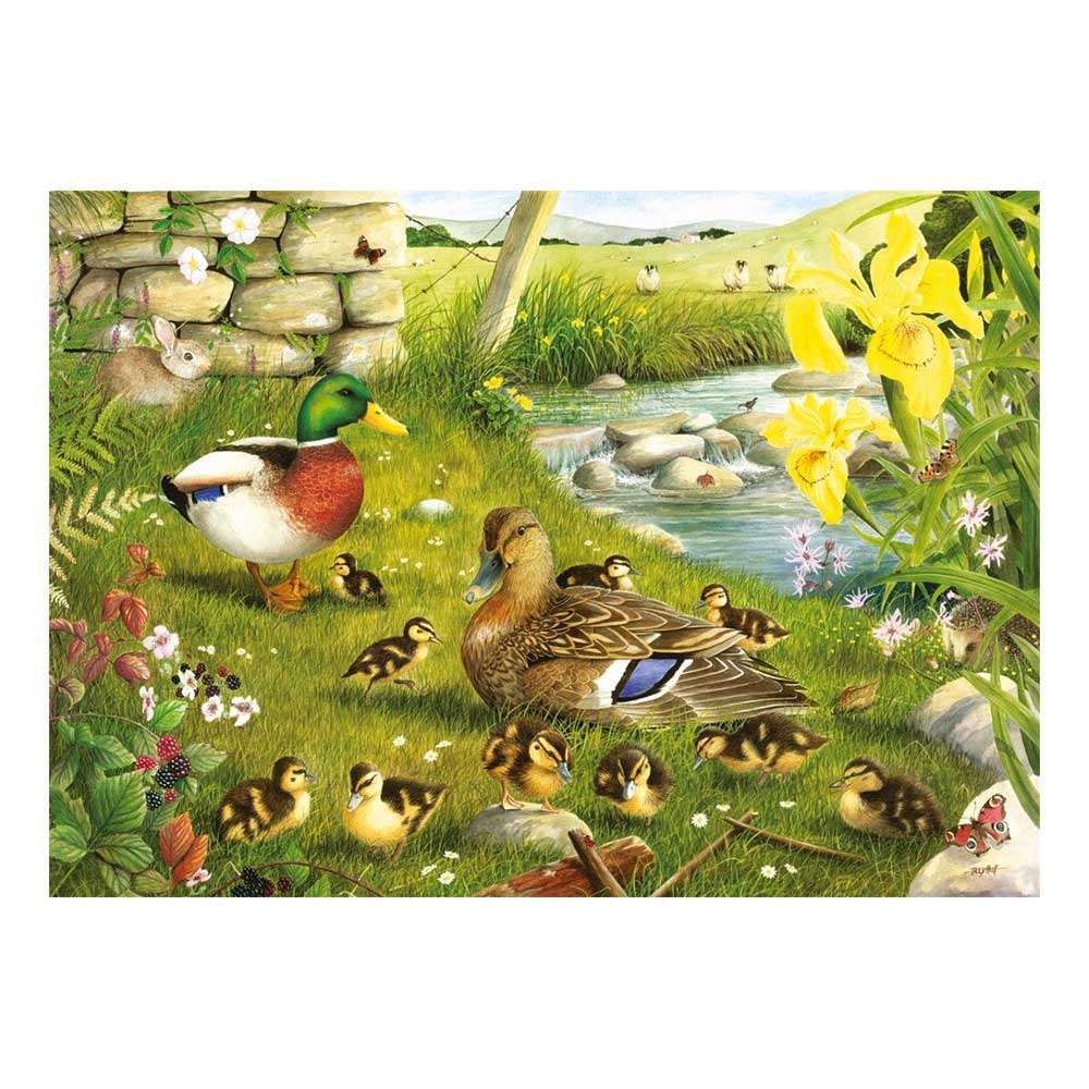 HALF CUT - Ducks to Water