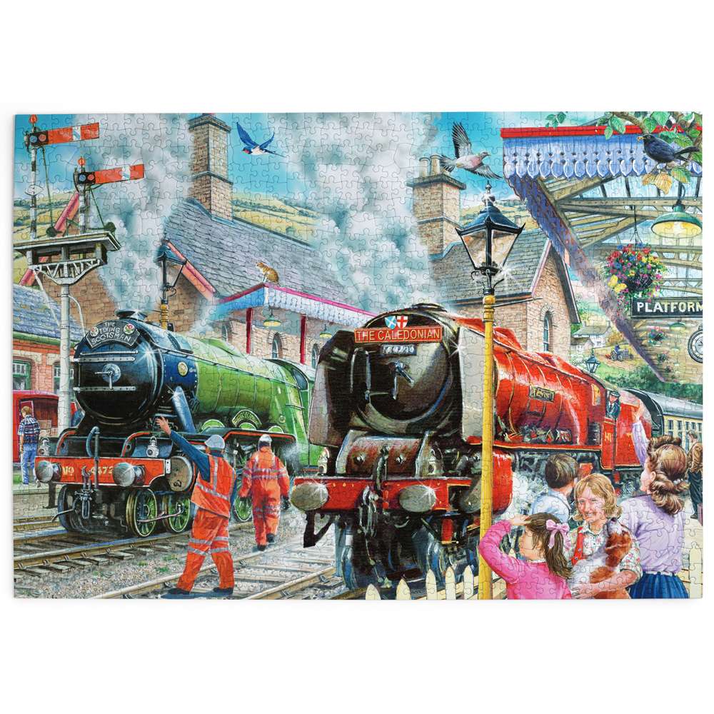 Checking the Line 1000 Piece Puzzle