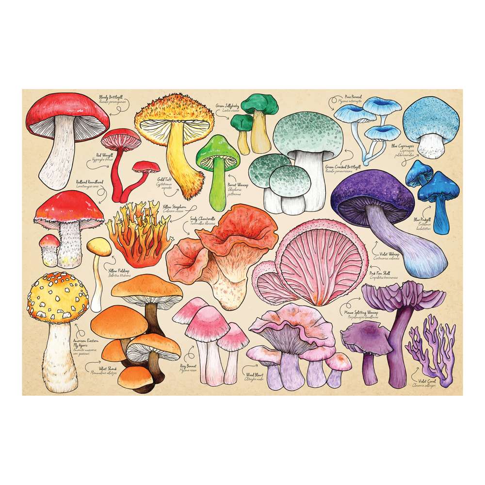 HALF CUT - Mushroom Mania