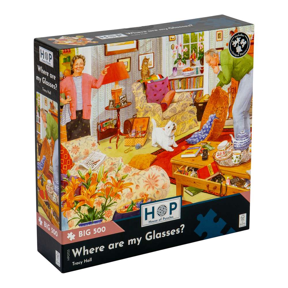 Where are my Glasses? BIG 500 Puzzle