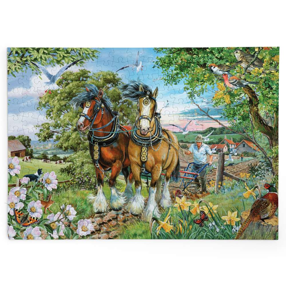 Strength & Beauty BIG 250 Puzzle