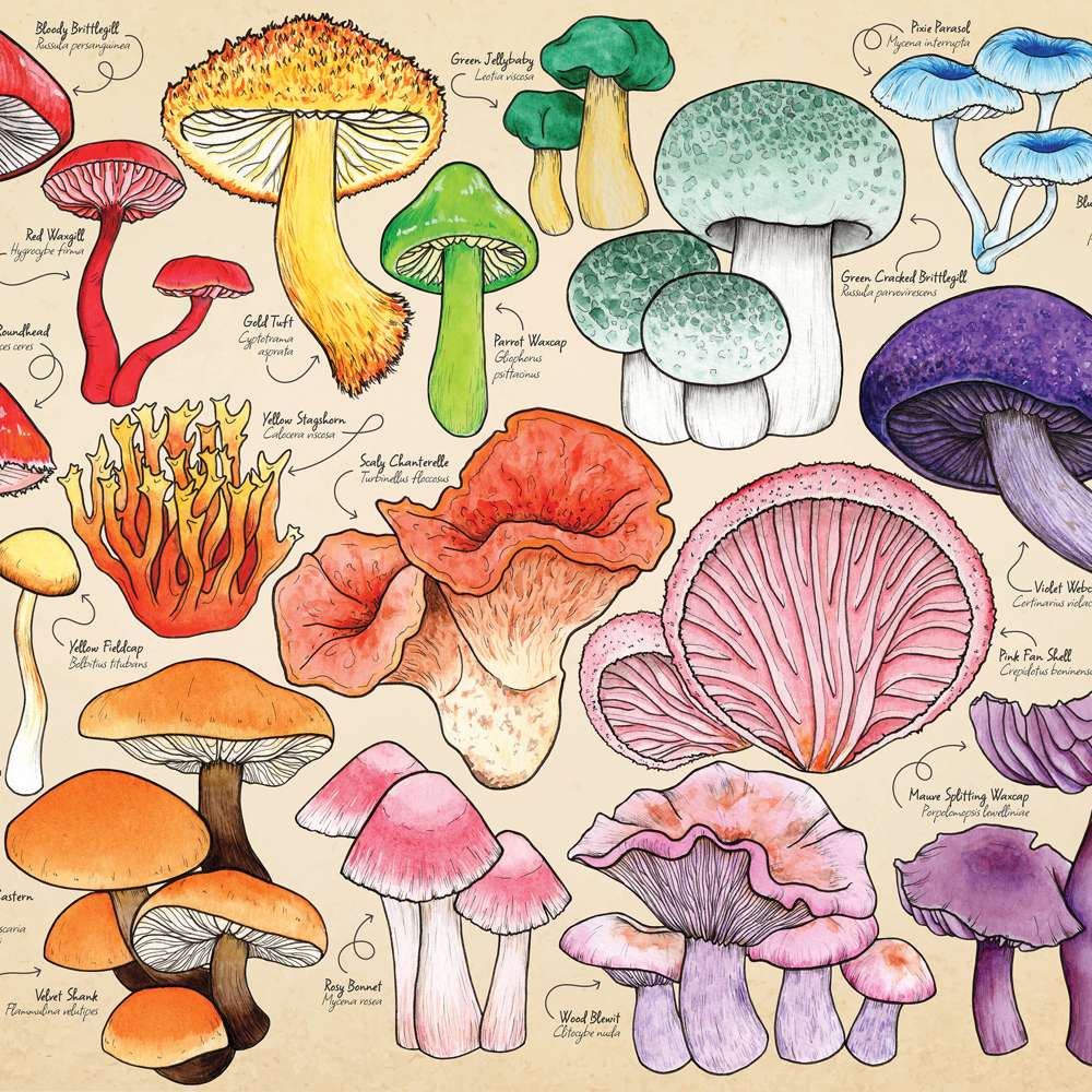 Mushroom Mania Puzzle Tube - 150 Piece (6)