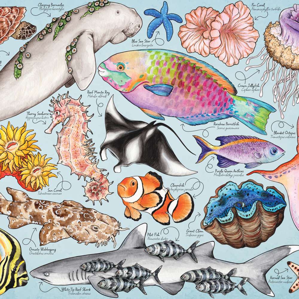 Great Barrier Reef Puzzle Tube - 150 Piece (6)