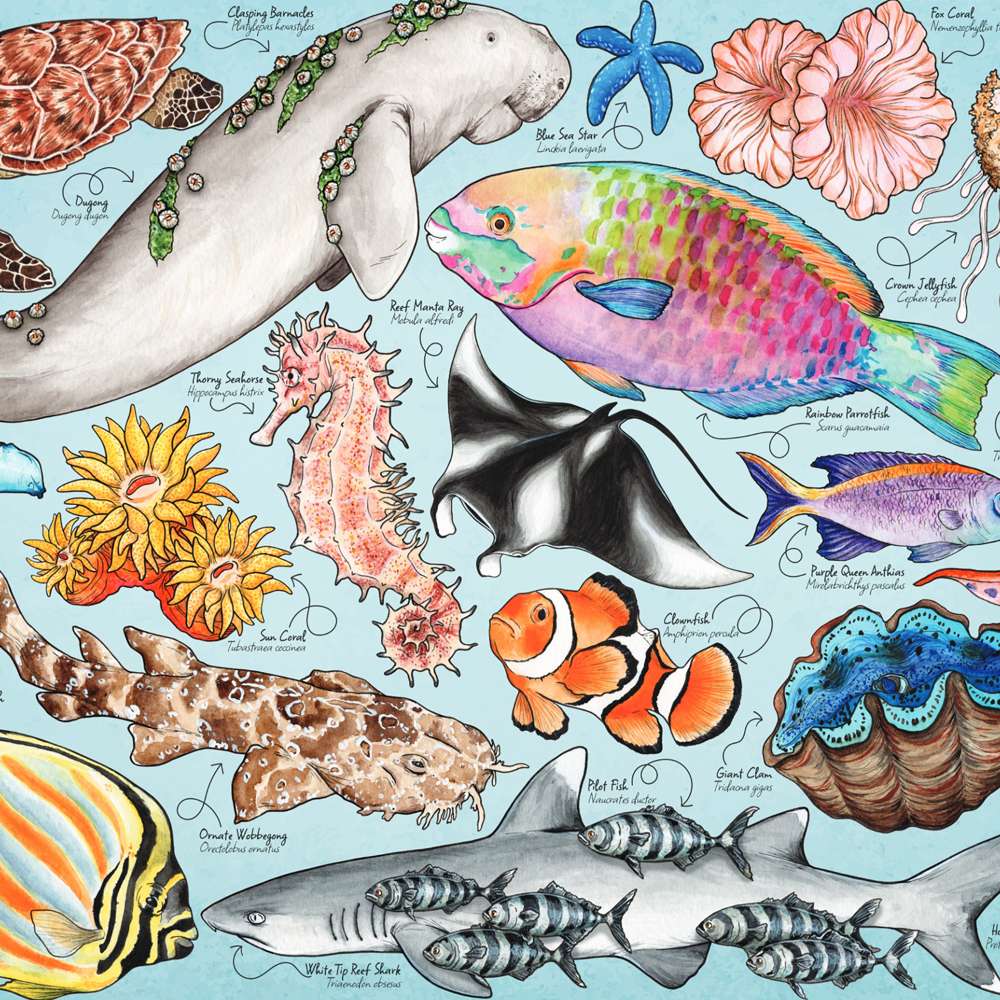Great Barrier Reef 1000 Piece Puzzle