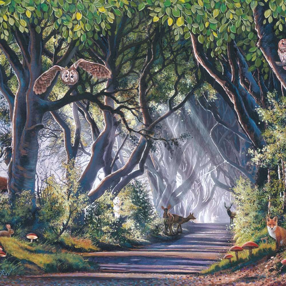 Dark Hedges 500 Piece Puzzle