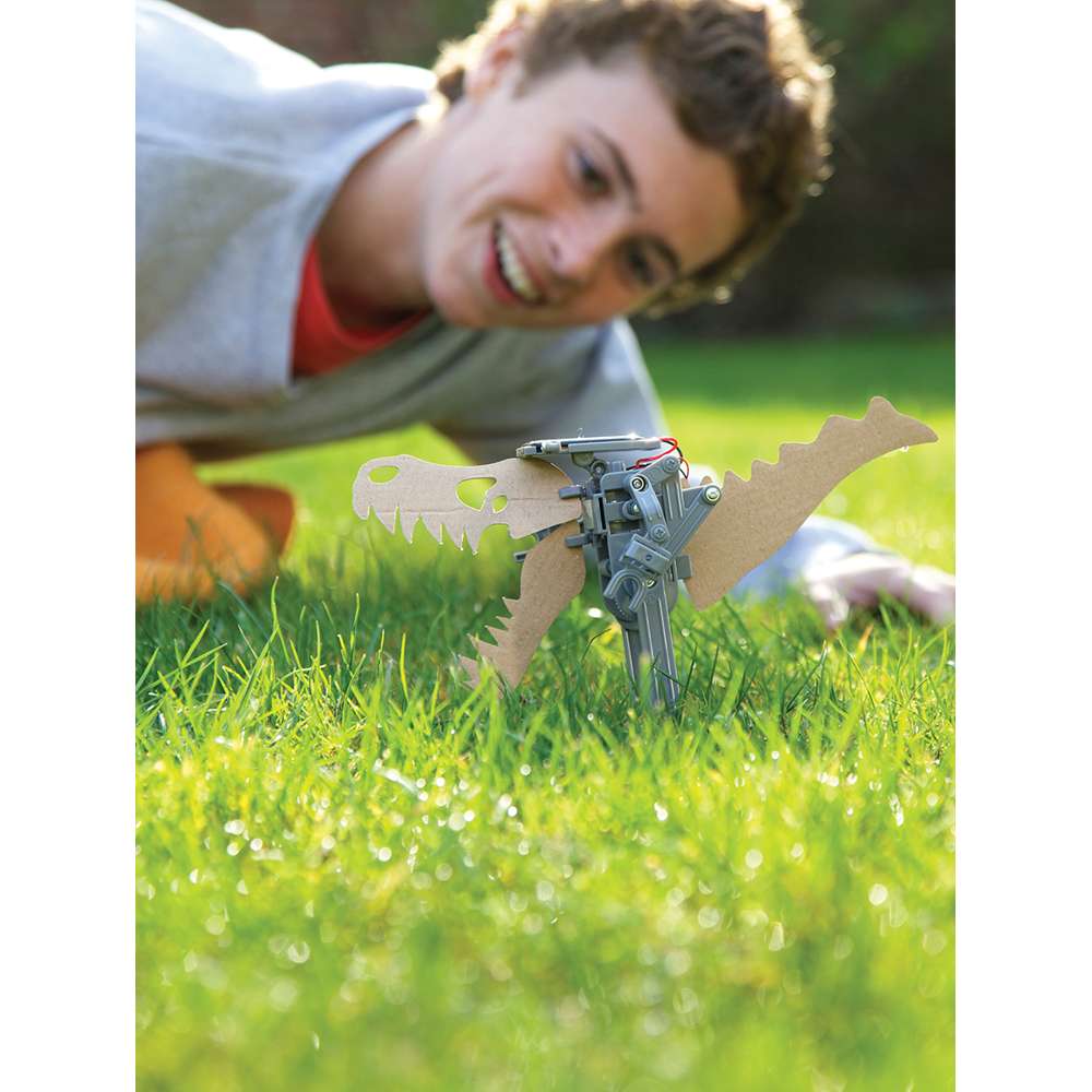 Green Science - Solar Robot