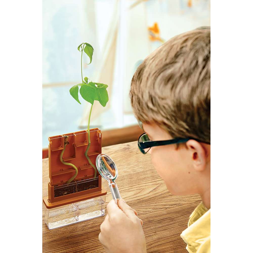 Green Science - Grow-A-Maze