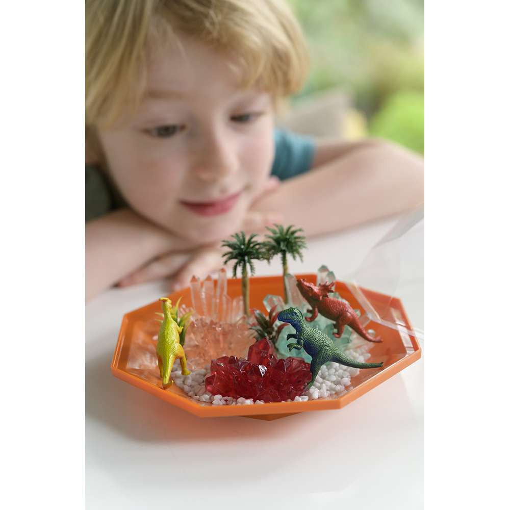 Crystal Growing - Dino Crystal Terrarium