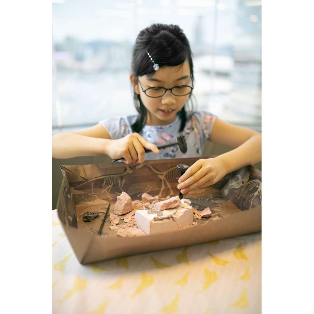 KidzLabs - Dig a Dinosaur Skeleton - Velociraptor