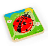Lifecycle Layer Puzzle - Ladybug