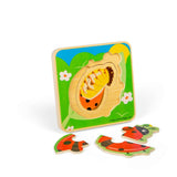 Lifecycle Layer Puzzle - Ladybug