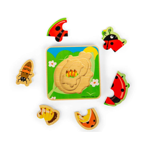 Lifecycle Layer Puzzle - Ladybug