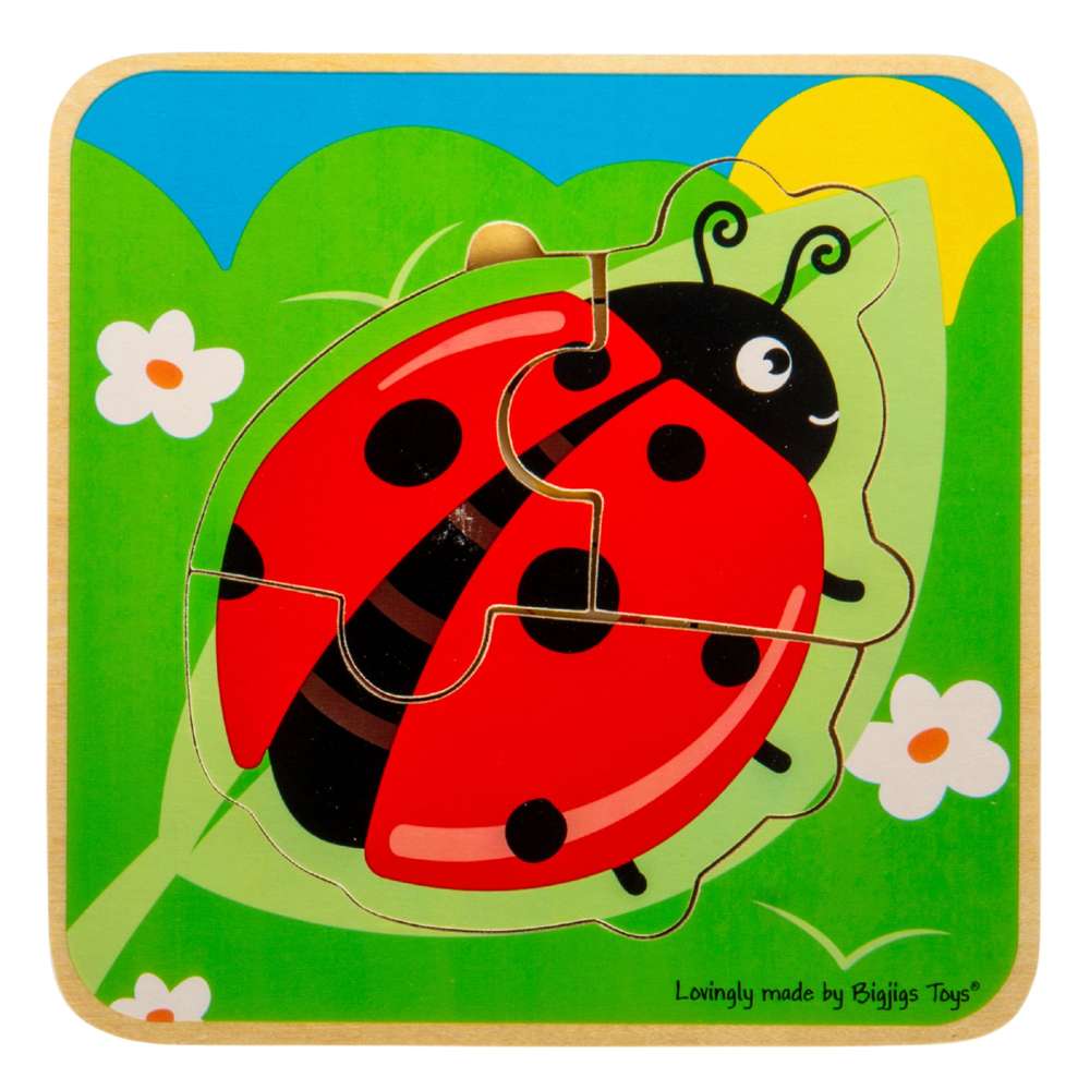 Lifecycle Layer Puzzle - Ladybug