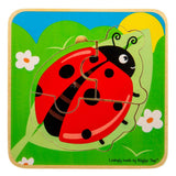 Lifecycle Layer Puzzle - Ladybug