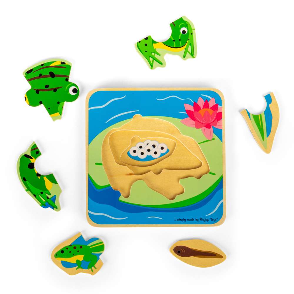 Lifecycle Layer Puzzle - Frog