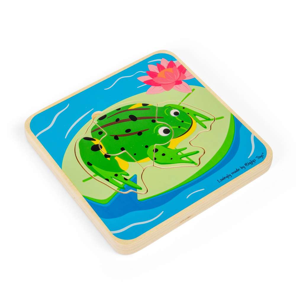 Lifecycle Layer Puzzle - Frog