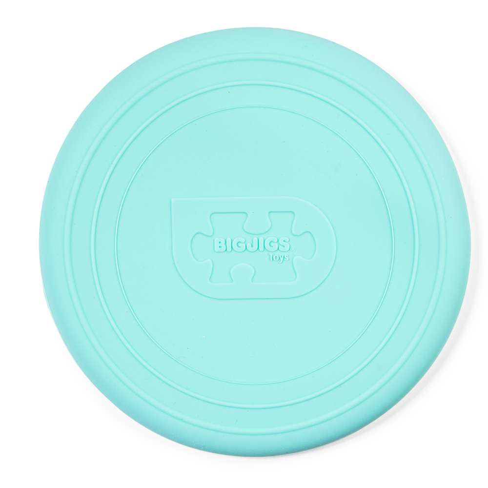 Flexible Flyer (12 colours available)