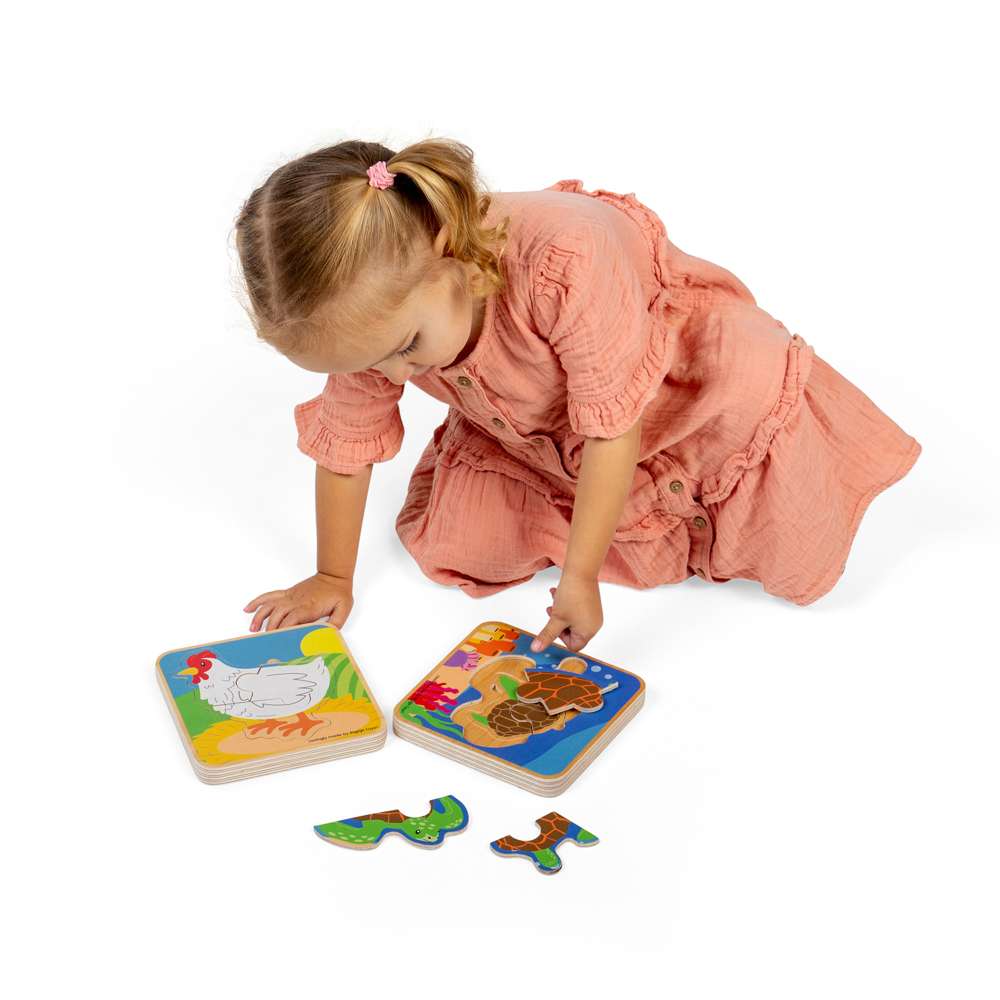 Lifecycle Puzzle - Chicken