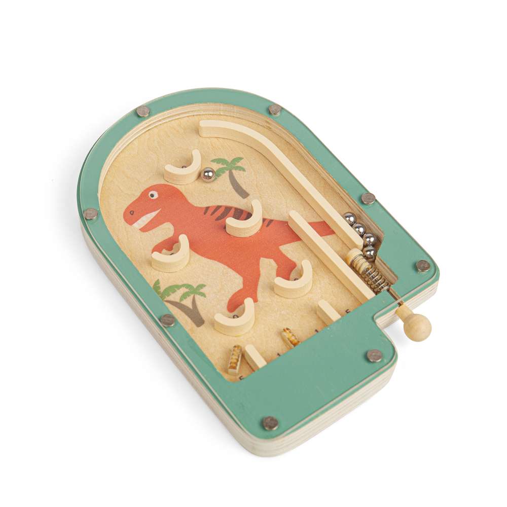 Pinball Game (12)